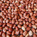 Roasted Peanuts