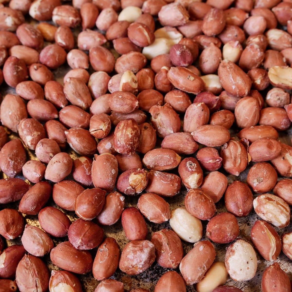 Roasted Peanuts